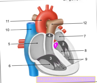 Figur aortaventil