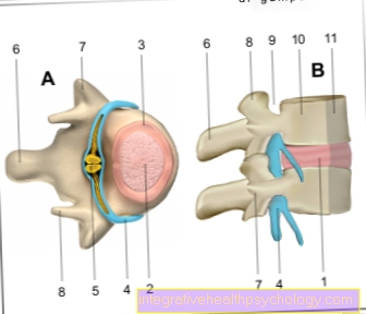 Figura disc intervertebral