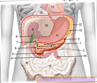 Figura pancreasul