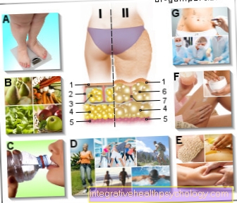 Figure strengthening connective tissue