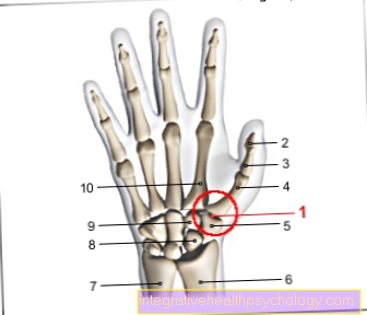 Figura pulgar articulación en silla de montar