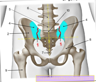 Figur sacroiliac joint