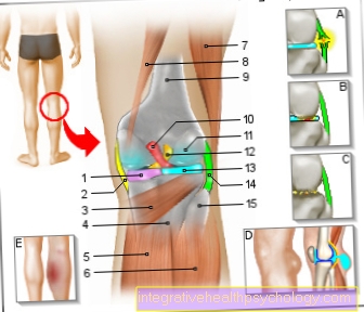 Illustration popliteal pain