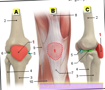 चित्रा kneecap