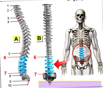 Hình cột sống thắt lưng