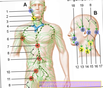 Figur lymfesystem