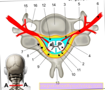 Figura măduva spinării