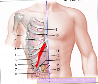 Figura dolor arco costal derecho