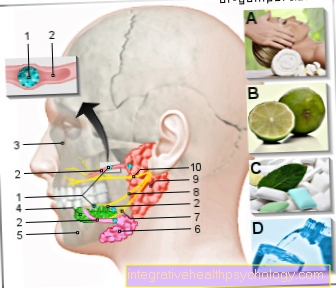 Hình đá nước bọt