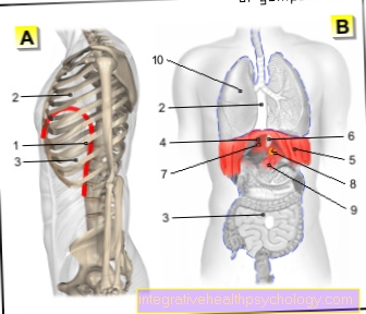 Figura diafragma