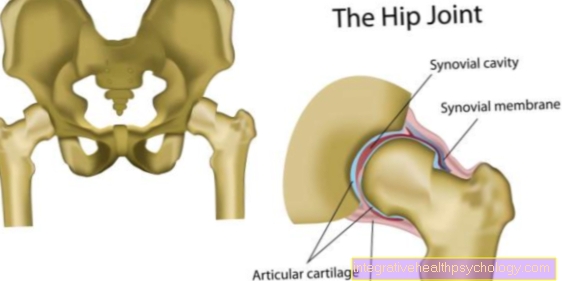 External rotation