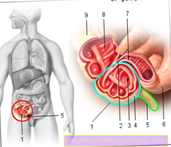 Task of the appendix