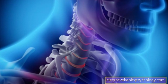 The cervical spine (cervical spine)