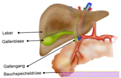 bile