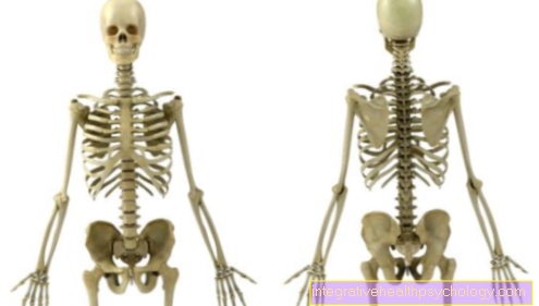 Hustota kostí