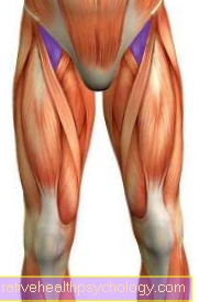 Iliopsoasov sval