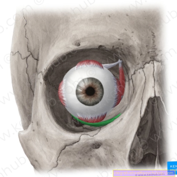 Upper eyelid lifter