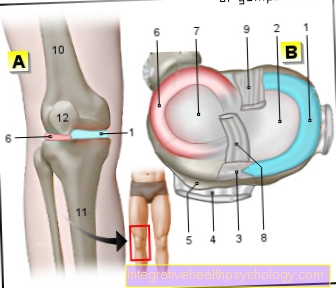 Operations on the meniscus