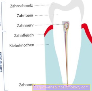 Fogszerkezet