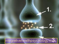 CNS / Central nervsystem