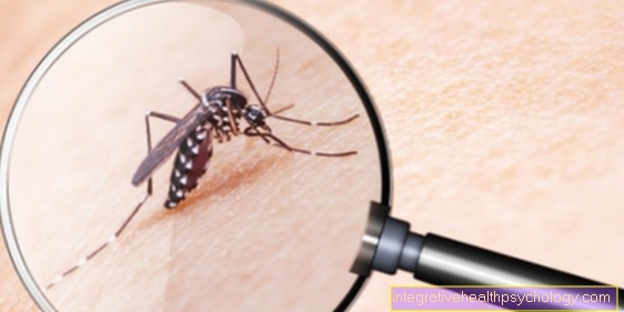 Home remedies for mosquito bites