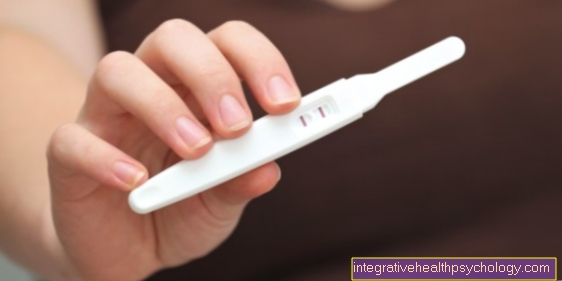 Test for ovulation