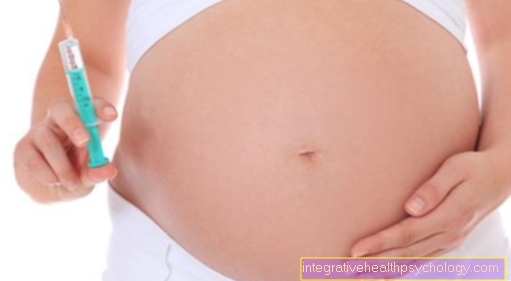 Vomiting during pregnancy