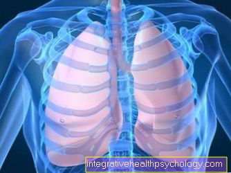 Chest pain from thoracic organs