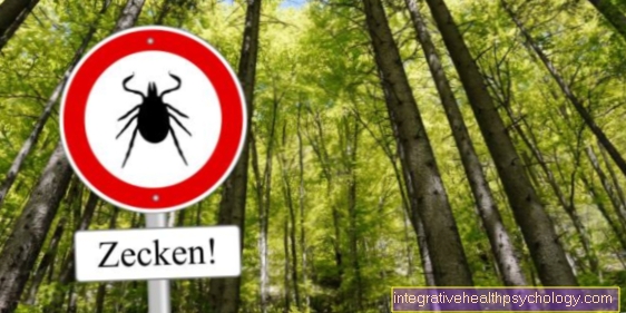 Is Lyme Disease Contagious?