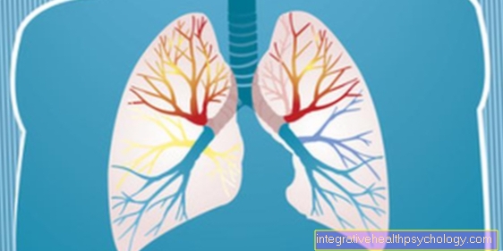 Esperanza de vida con fibrosis pulmonar