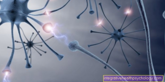 Neuroborreliosis - Apa itu?