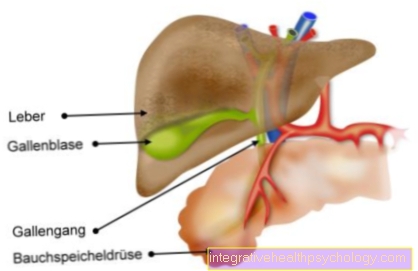 Portal hypertension