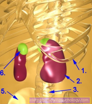 U tủy thượng thận