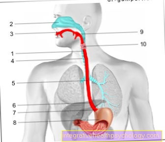 Esophageal kræftdiagnose