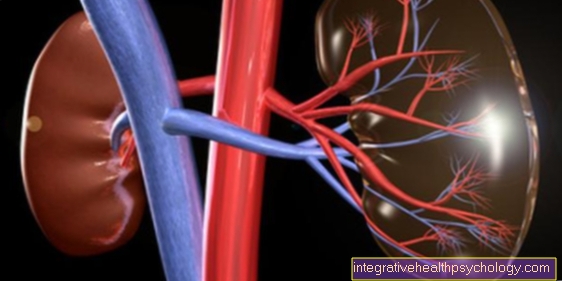 Symptoms of Renal Failure