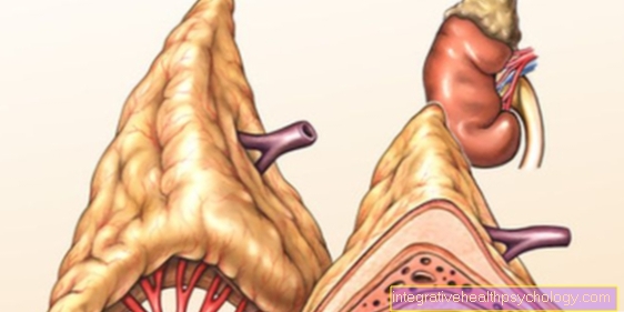 Tertiary adrenal insufficiency