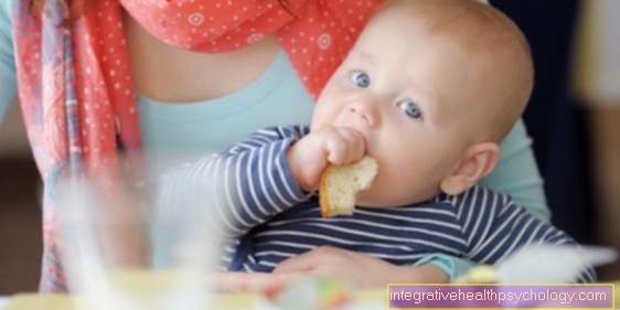 Kdy mají děti povoleno jíst chléb / kůrku?