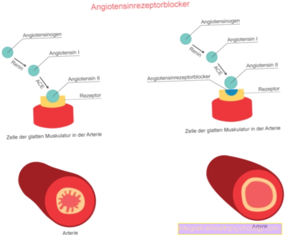 Efecto de la angiotensina 2