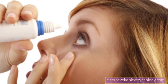 Autologous serum eye drops