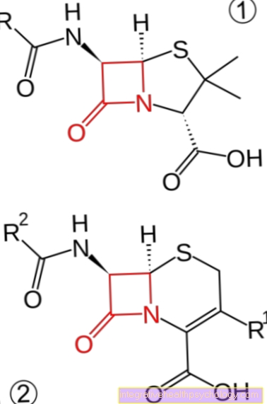 Beta-lactam antibiotics