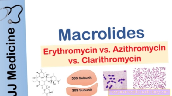 Erythromycin and macrolides