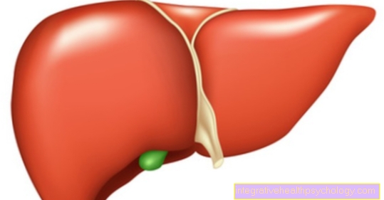 Ursodeoxcholic एसिड