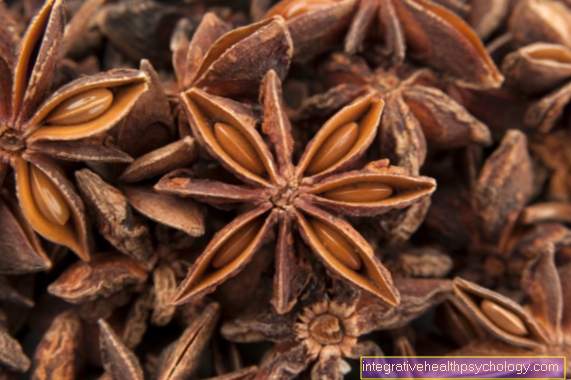 anise