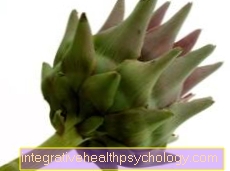 artichoke