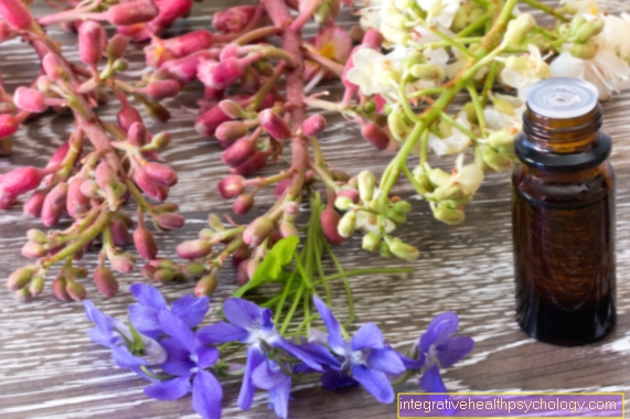 Bach blommor för känslighet