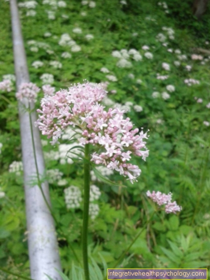 Hiệu ứng Valerian