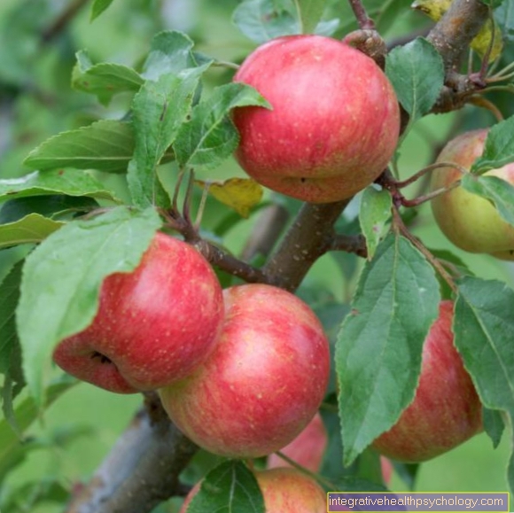 Bach Flower Crab Apple