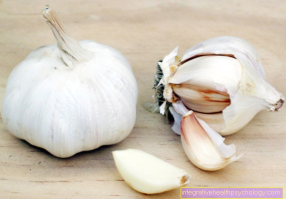 garlic