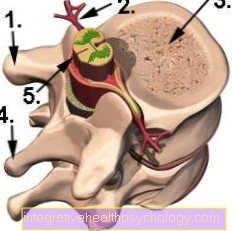 Duración de una fractura vertebral