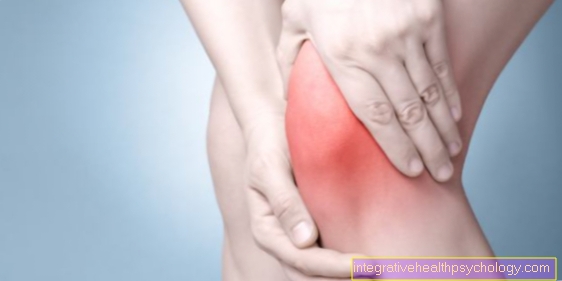 Inner ligament stretch at the knee